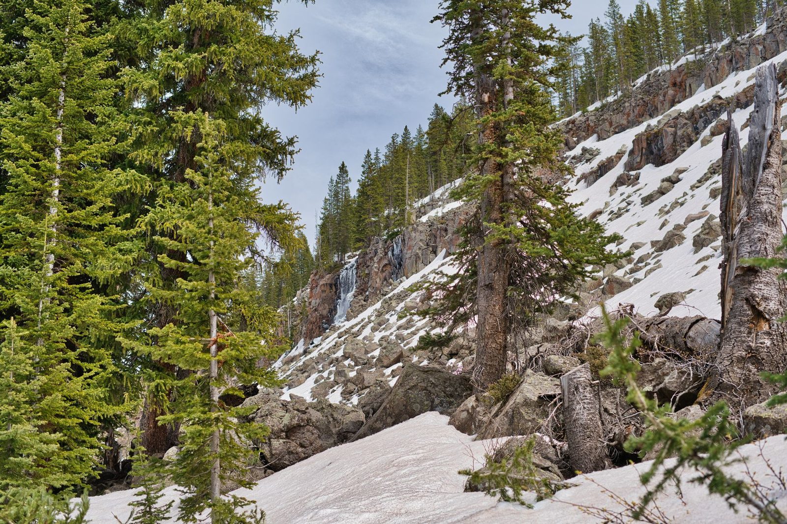 Late-season snow and subalpine spruce on a Colorado Rocky Mountain slope