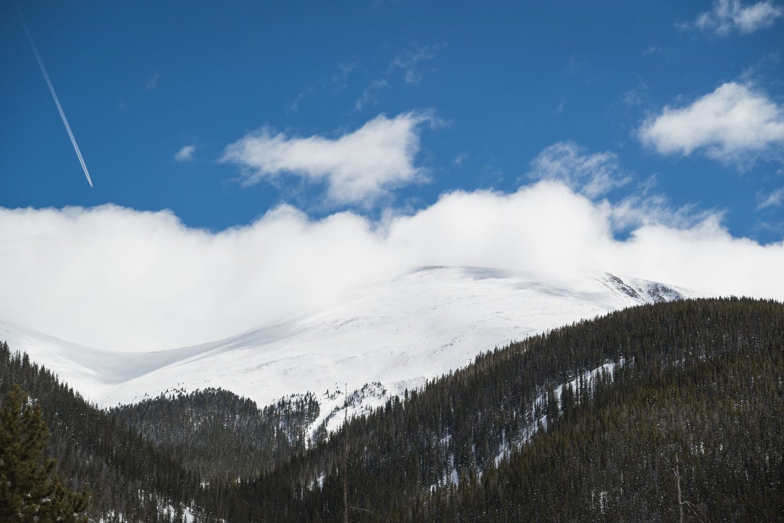 A snow-covered peak above dense conifer forest in the Colorado high country