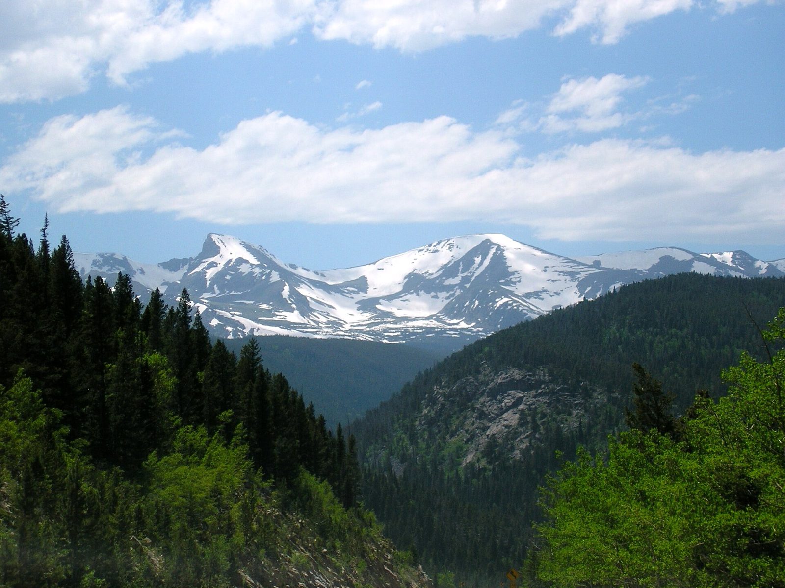 Snow-capped Continental Divide peaks above forested valleys in the Colorado Rockies